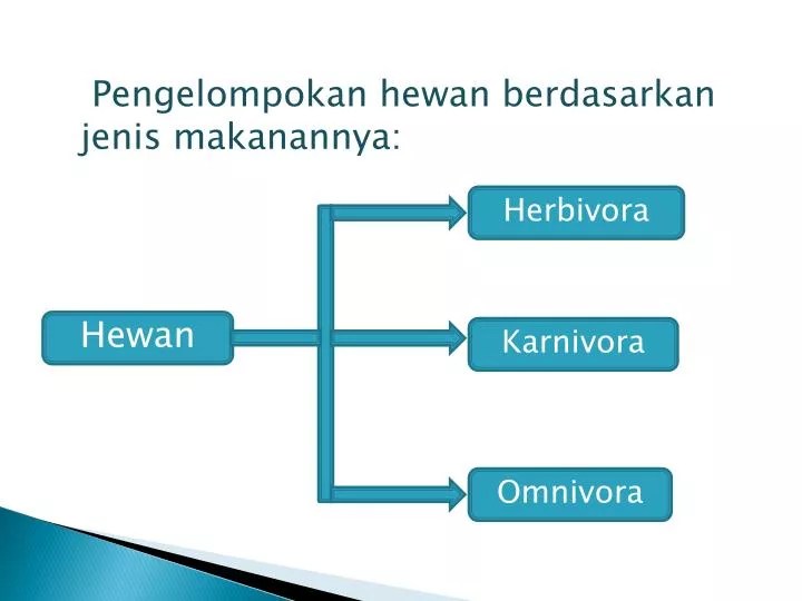 PPT Pengelompokan hewan berdasarkan jenis makanannya PowerPoint