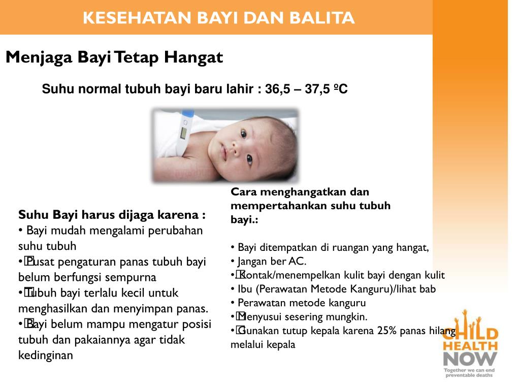 PPT Kesehatan Bayi dan Balita, Serta Pencegahan dan Penyakit pada