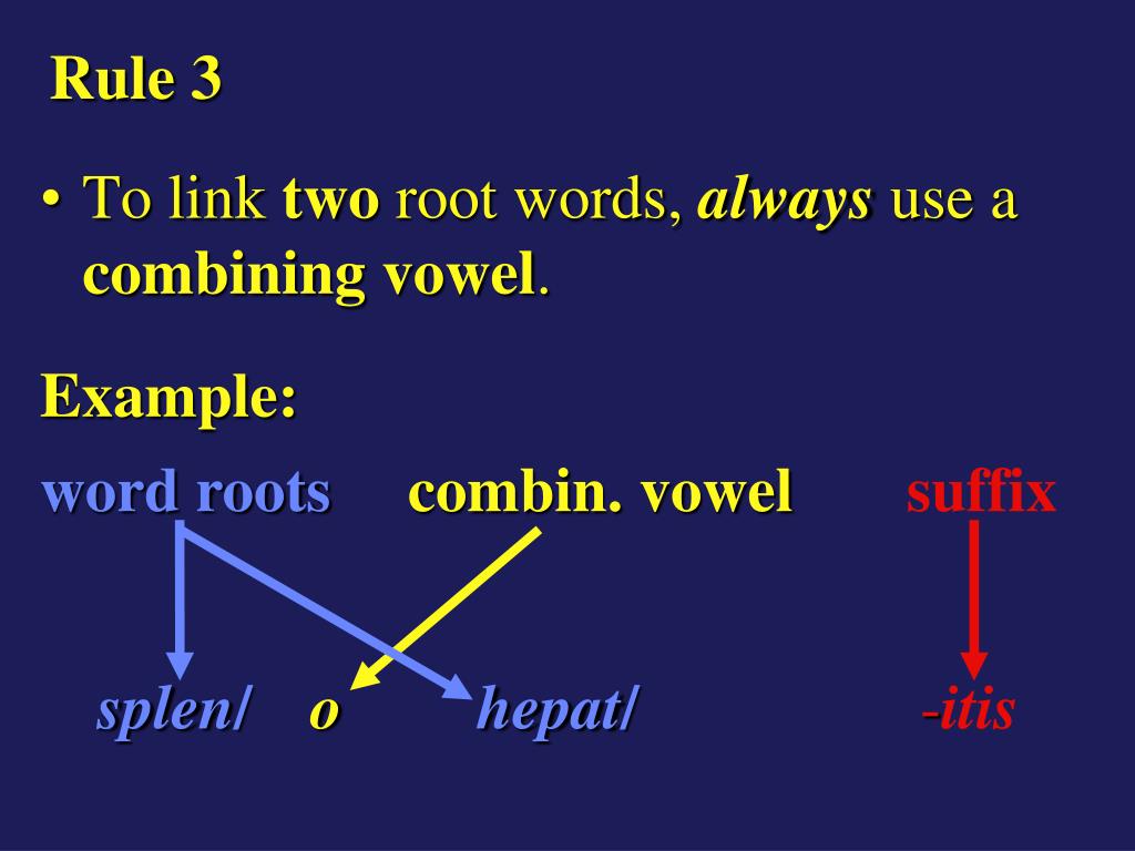 PPT Medical Terminology PowerPoint Presentation, free download ID