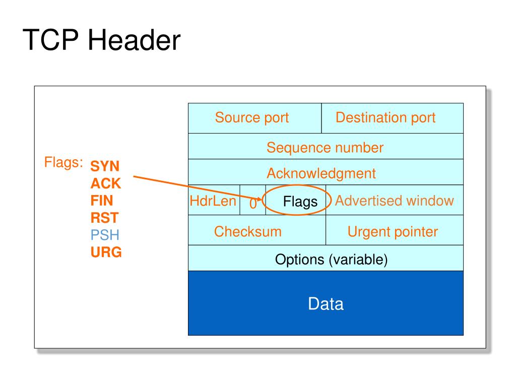 PPT Transport Layer TCP PowerPoint Presentation, free download ID