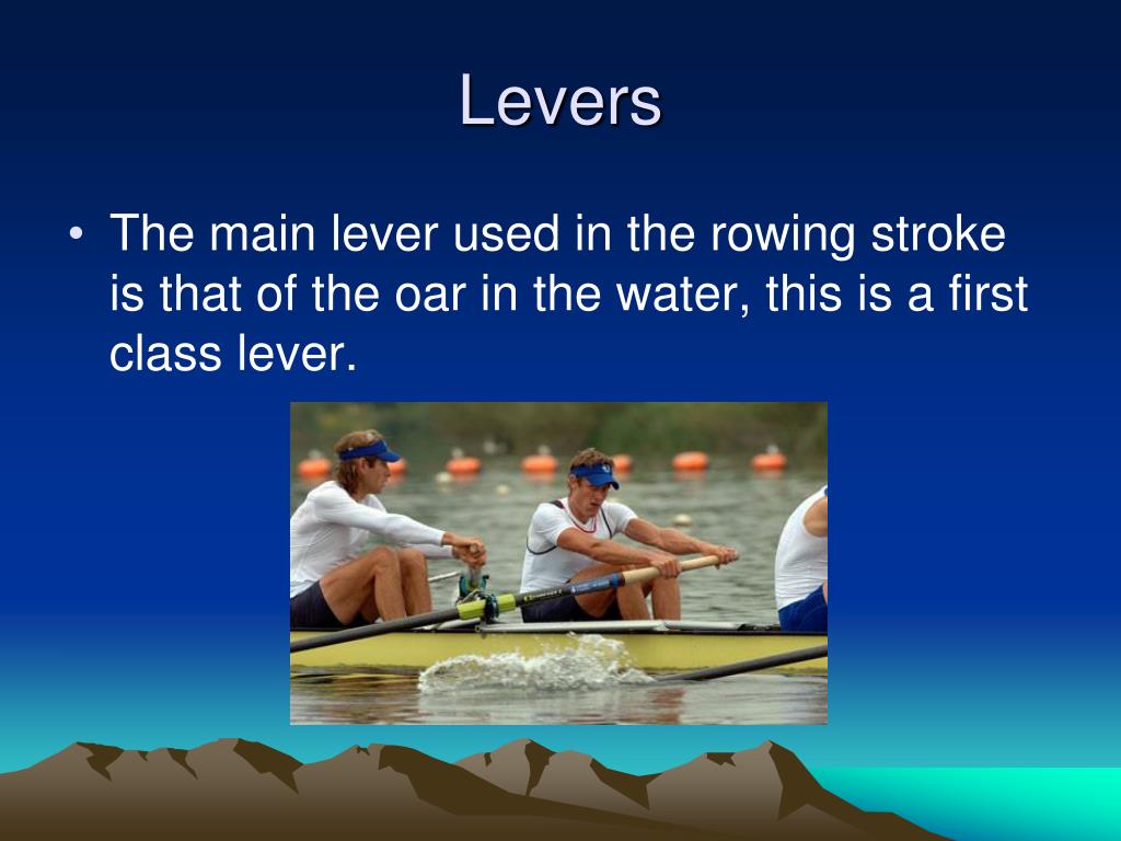 PPT The Rowing Stoke PowerPoint Presentation, free download ID1982310