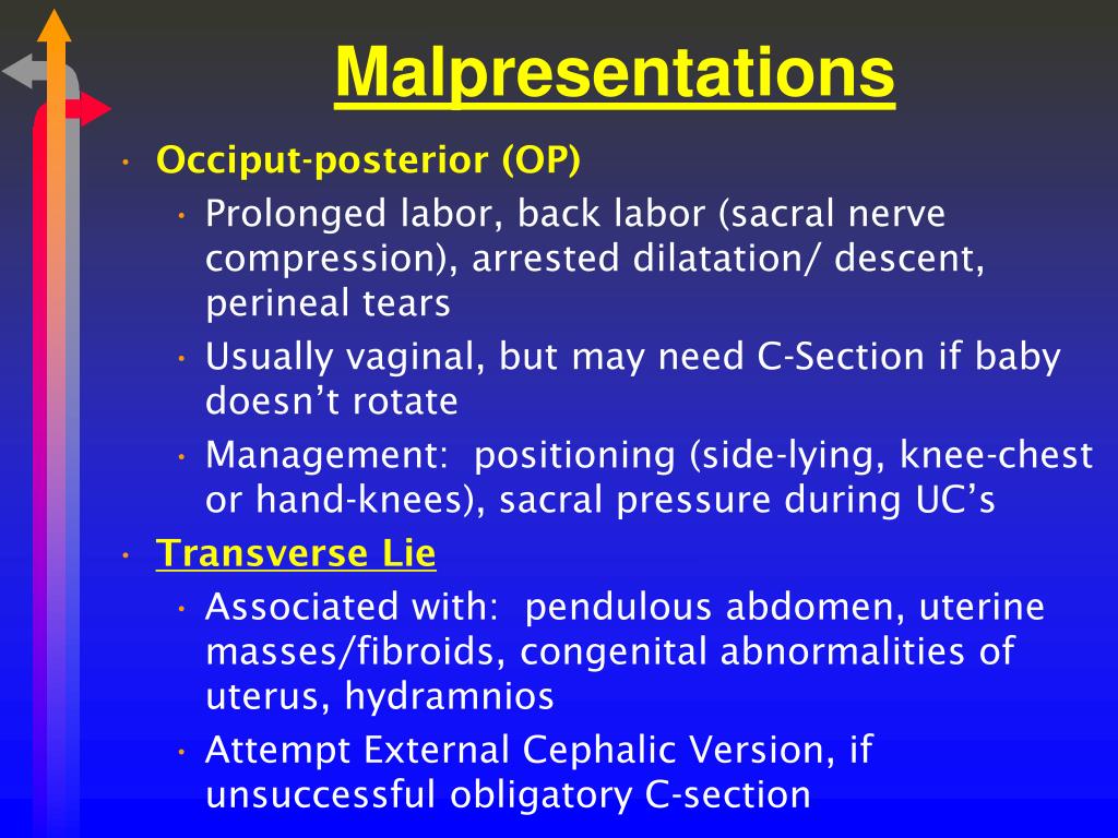 PPT Chapter 22Processes & Stages of Labor and Birth PowerPoint