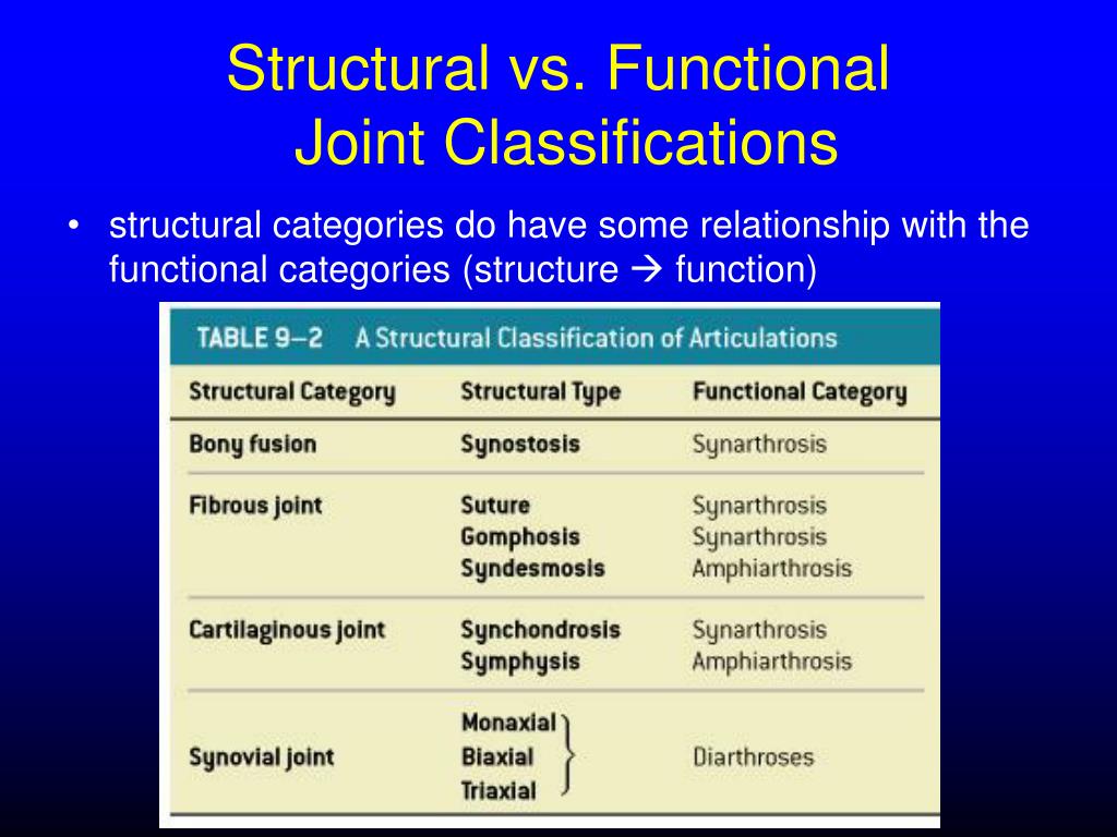 PPT Articulations (Joints) PowerPoint Presentation, free download