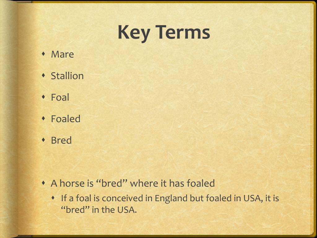 PPT Horse Reproduction and Breeding PowerPoint Presentation, free