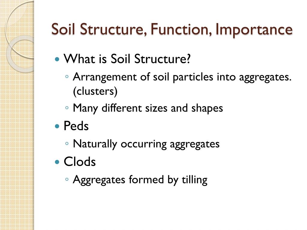PPT Understanding Soil Texture and Structure PowerPoint Presentation ID1988459