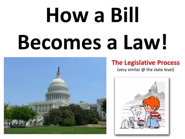 PPT - How a Bill Becomes a Law! PowerPoint Presentation, free download