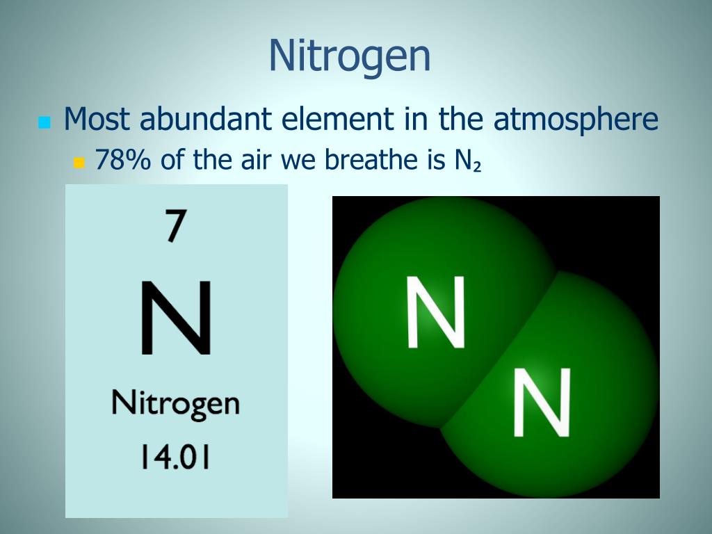 PPT Nitrogen Cycle PowerPoint Presentation, free download ID1992023