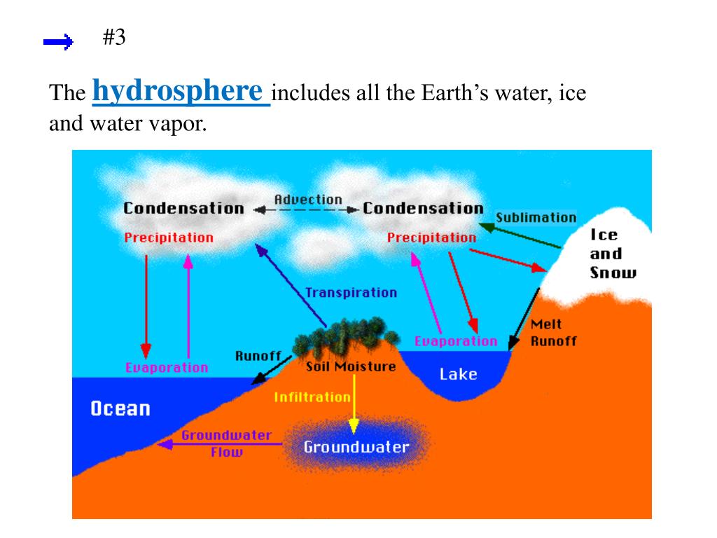 PPT Chapter 15 The Biosphere PowerPoint Presentation ID1995863