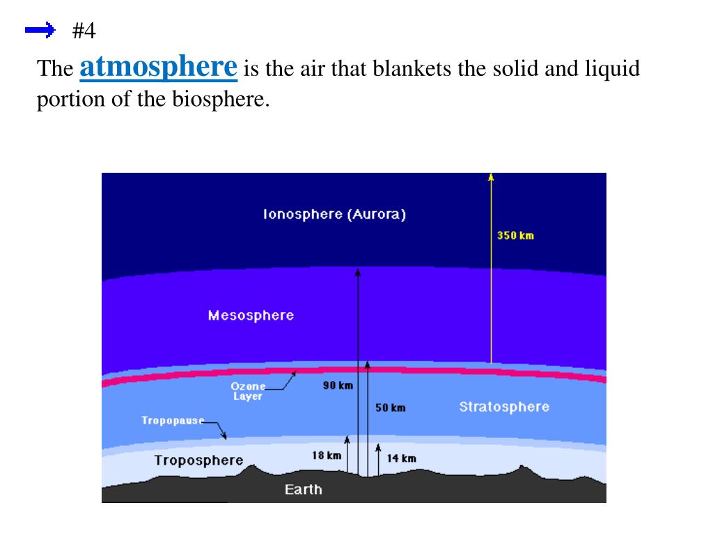 PPT Chapter 15 The Biosphere PowerPoint Presentation ID1995863