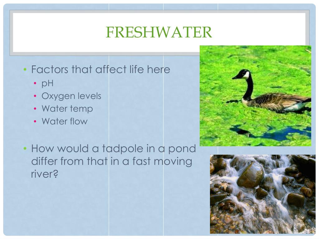 PPT Ch. 15 The Biosphere PowerPoint Presentation, free download ID