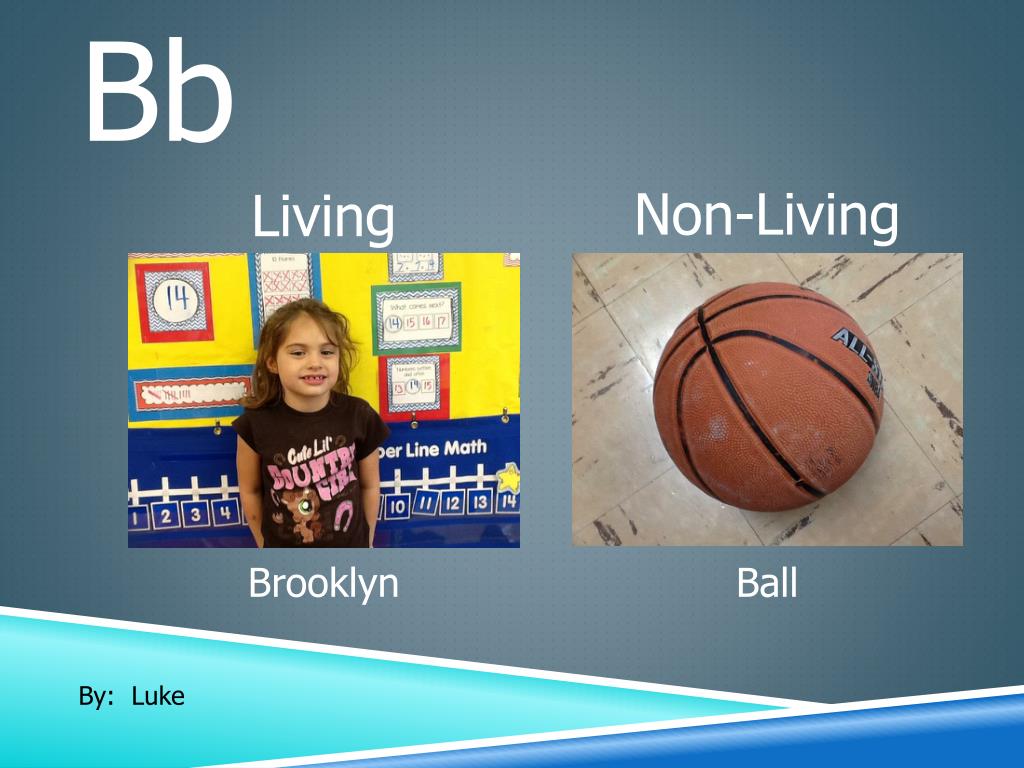 PPT By Mrs. Riley’s Kindergarten Class 2013 Potter Gray Elementary