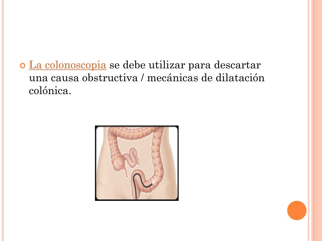 PPT MEGACOLON PowerPoint Presentation, free download
