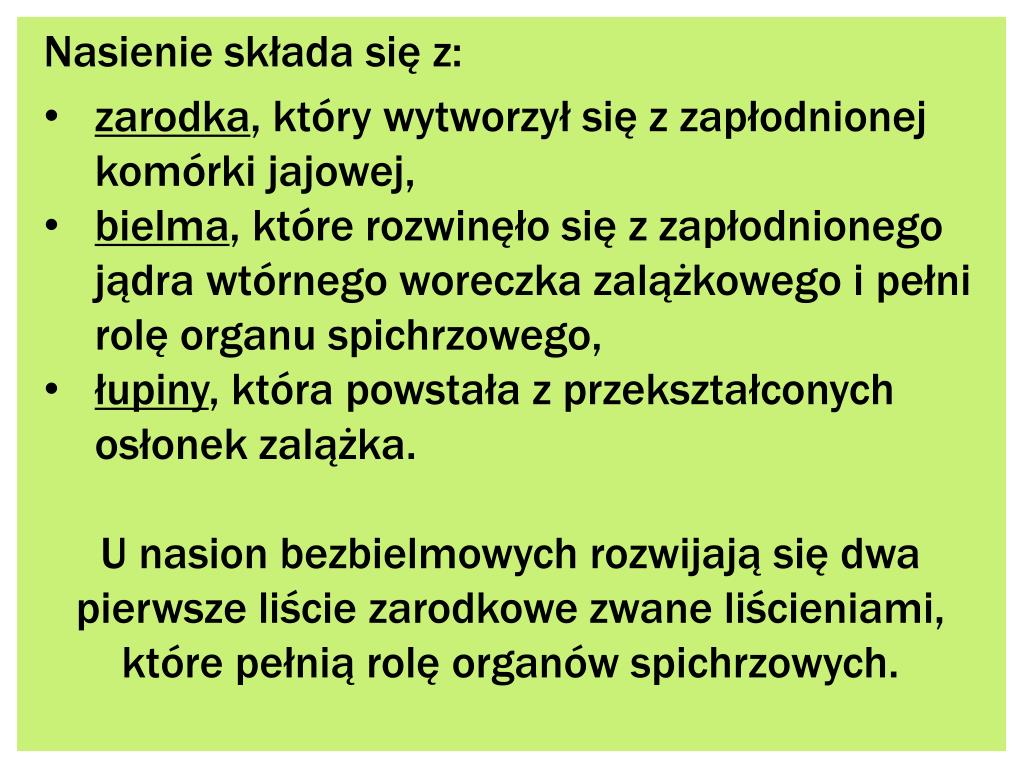 PPT Projekt Edukacyjny uczniów klasy 2b PowerPoint Presentation, free