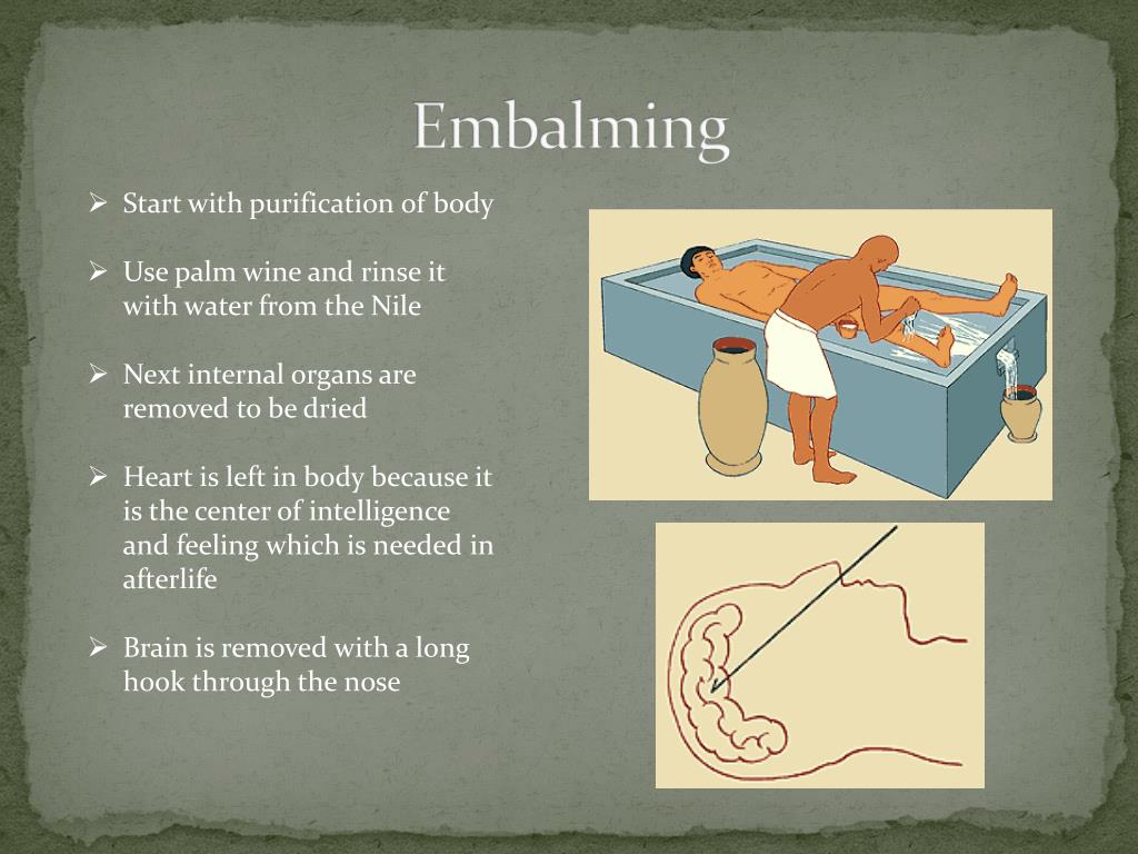 PPT Egyptian Mummification PowerPoint Presentation, free download
