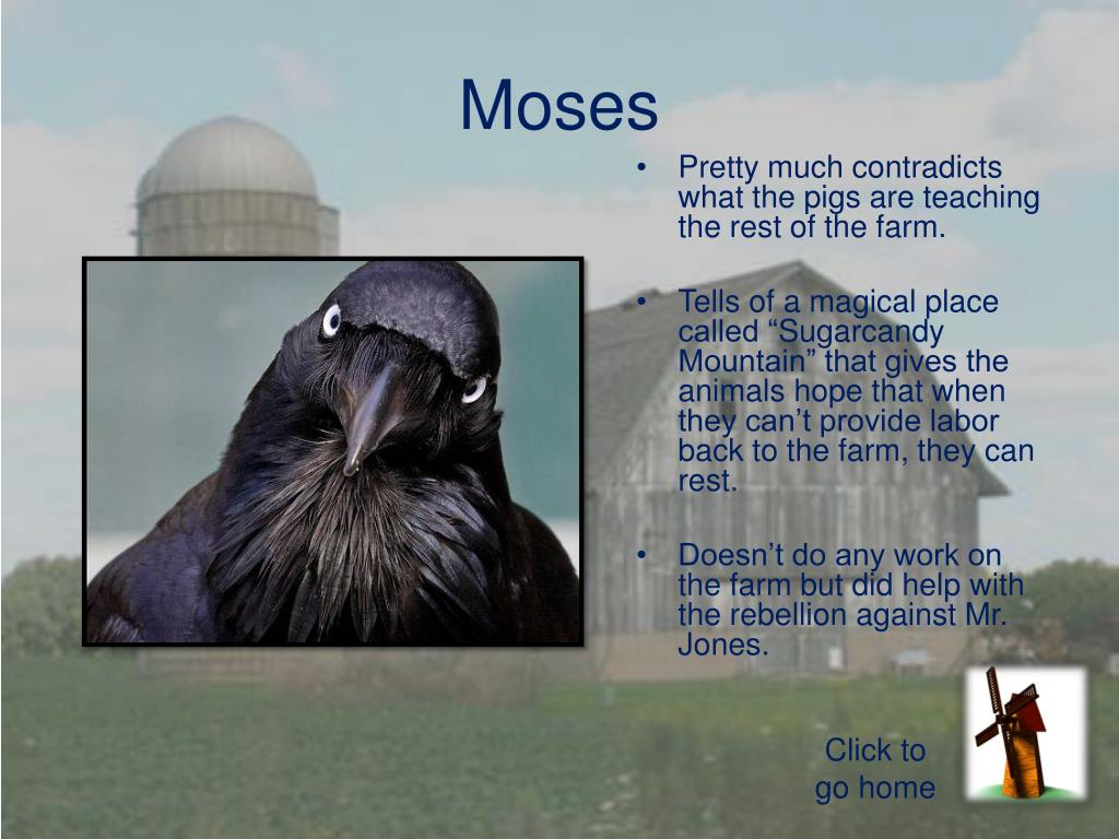 PPT Animal Farm PowerPoint Presentation, free download ID1999086