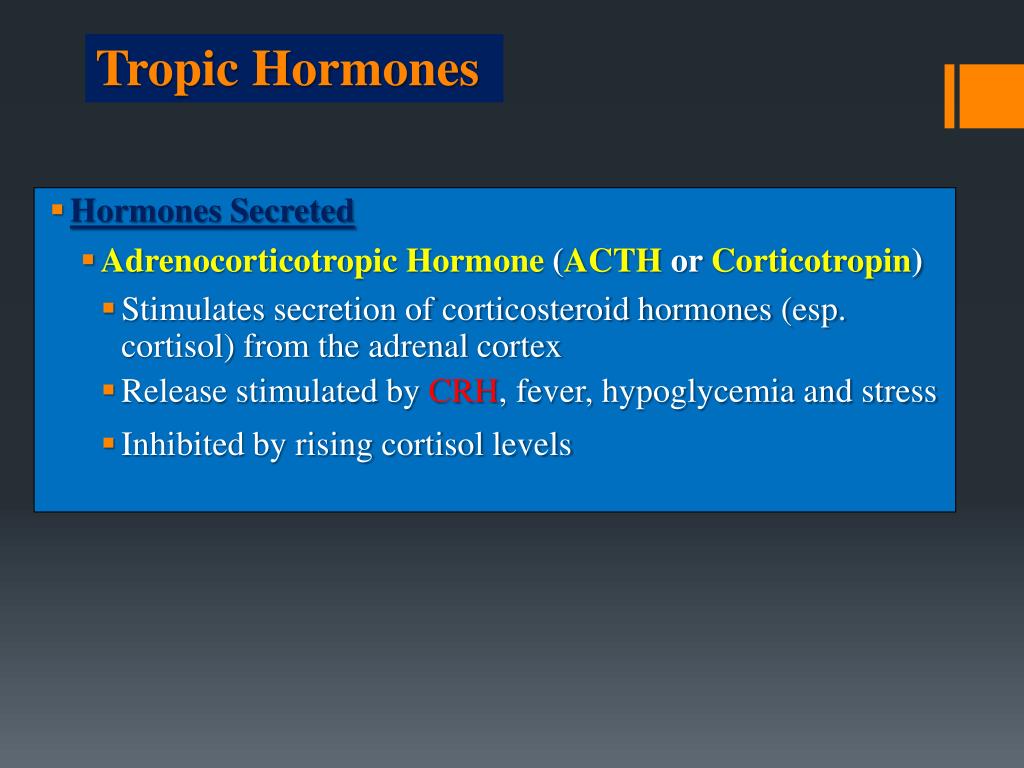 PPT The Endocrine System PowerPoint Presentation, free download ID