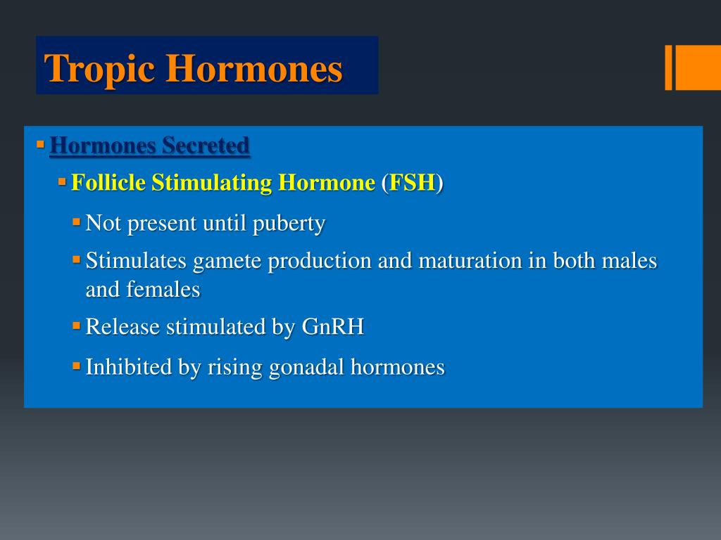 PPT The Endocrine System PowerPoint Presentation, free download ID