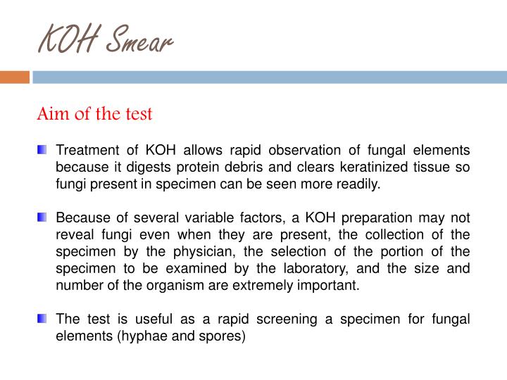 PPT KOH SMEAR PowerPoint Presentation ID2000540
