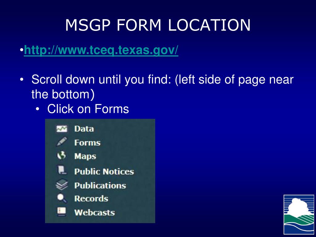 Lindsay M. Garza Texas Commission on Environmental Quality Stormwater