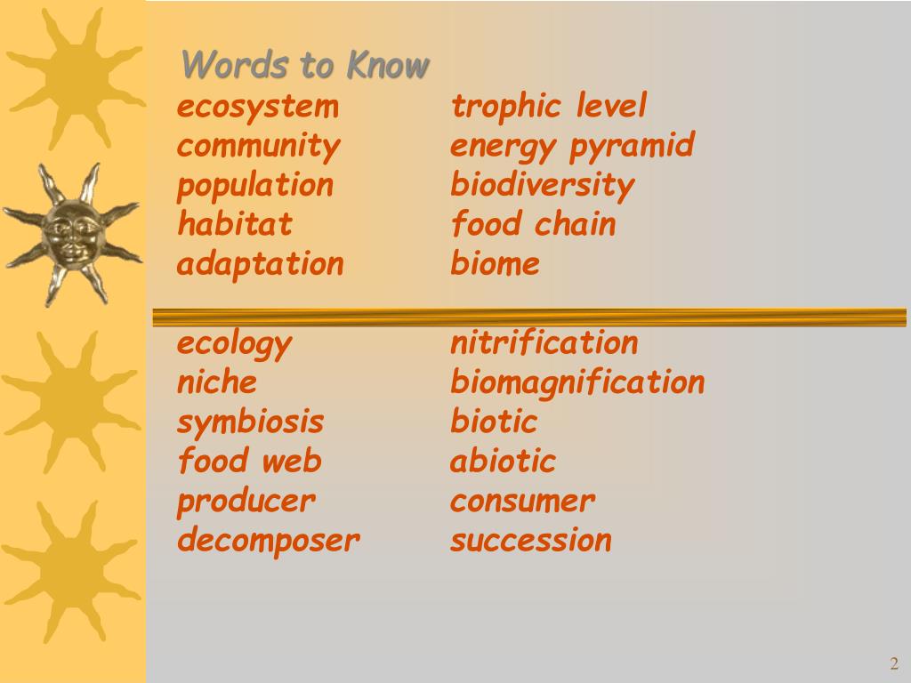 Modern Biology Study Guide Section 23 Answers
