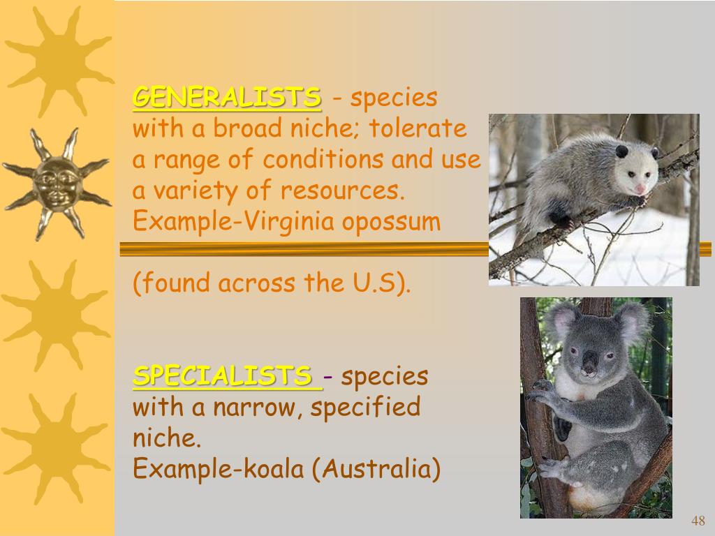 PPT Reference Modern Biology Chapter 19 23 PowerPoint Presentation ID2001663