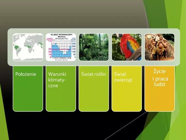 PPT Krajobraz lasu równikowego położenie PowerPoint Presentation