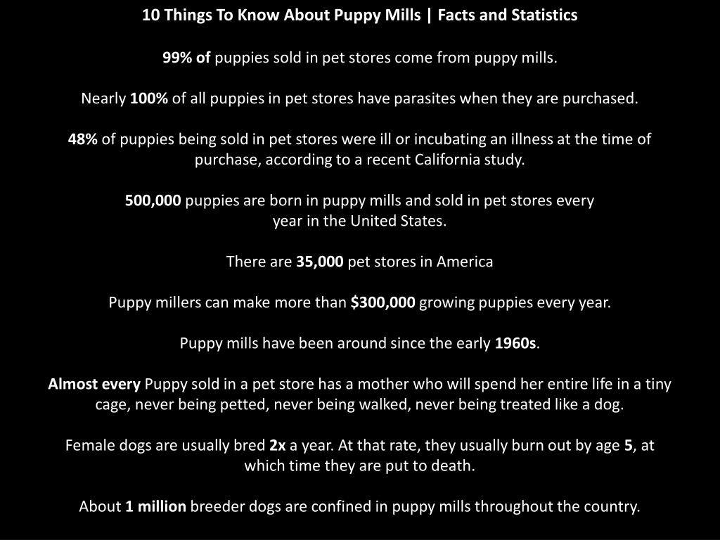 PPT Puppy Mills PowerPoint Presentation, free download ID2005206