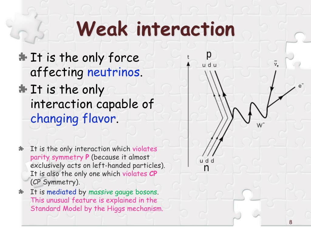 PPT Particle Physics Study PowerPoint Presentation, free download