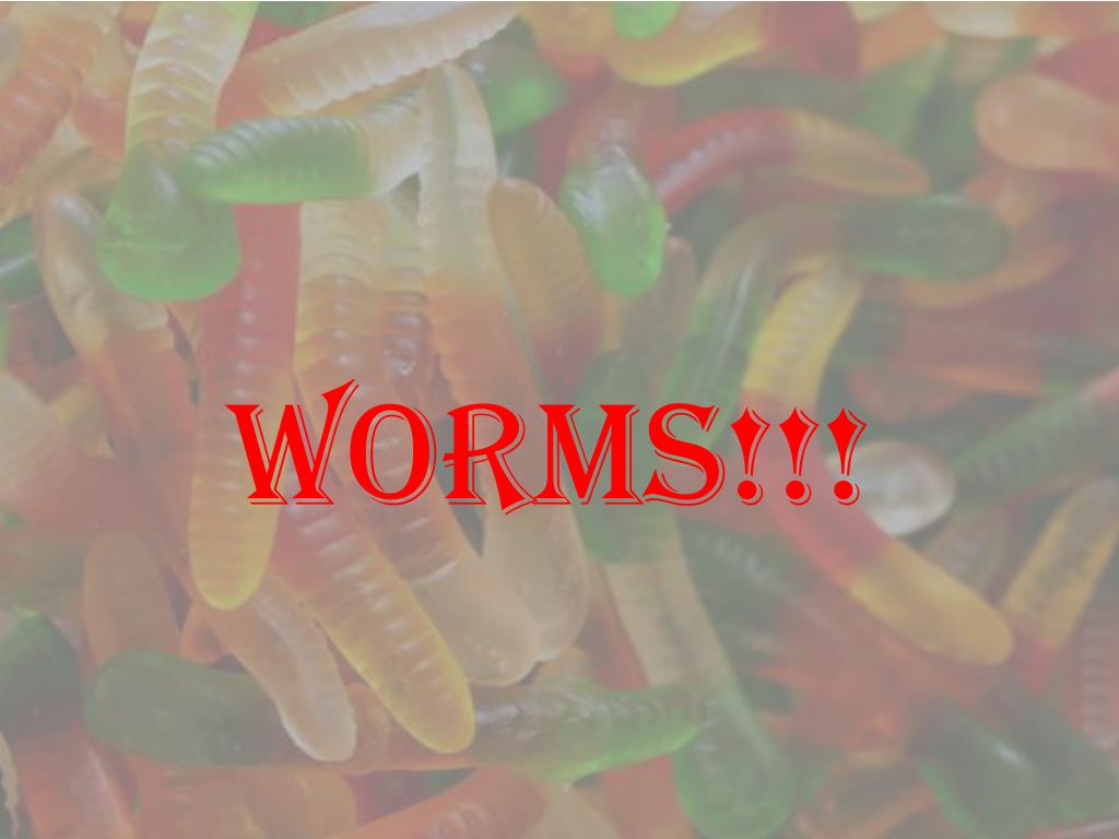 How does a sponge obtain food how does a tapeworm move deluxewqp