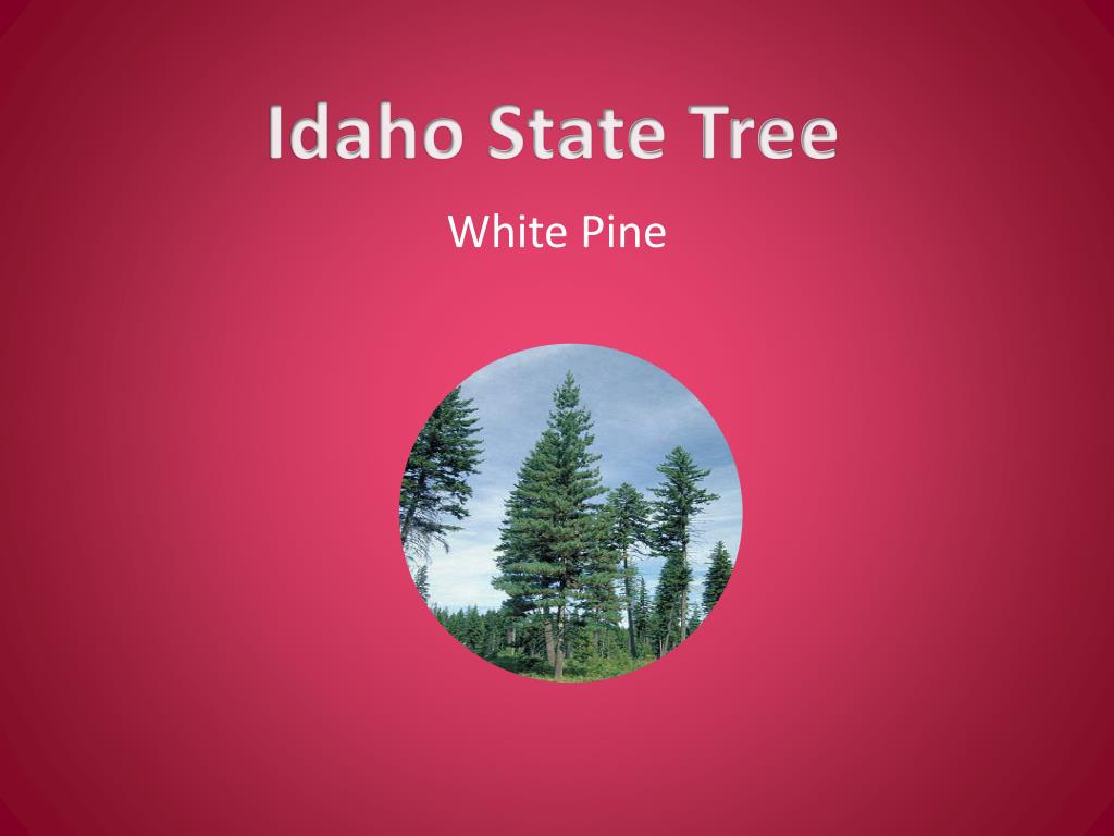 PPT Idaho PowerPoint Presentation, free download ID2007373