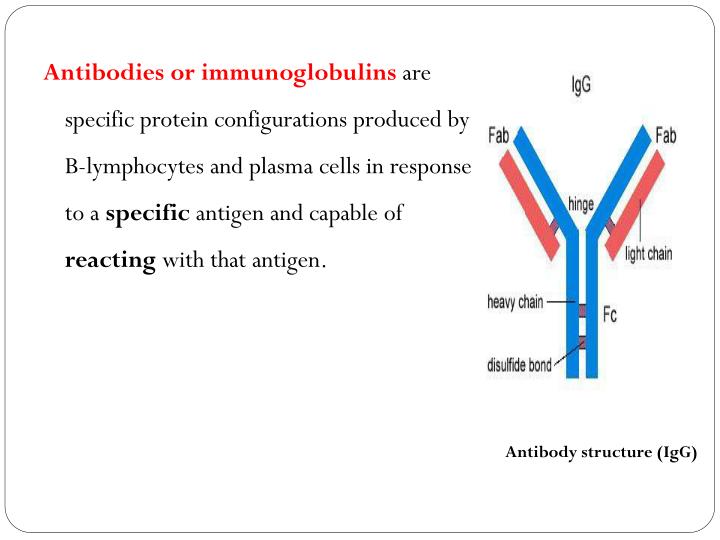 PPT Antigenantibody reaction PowerPoint Presentation ID2009901