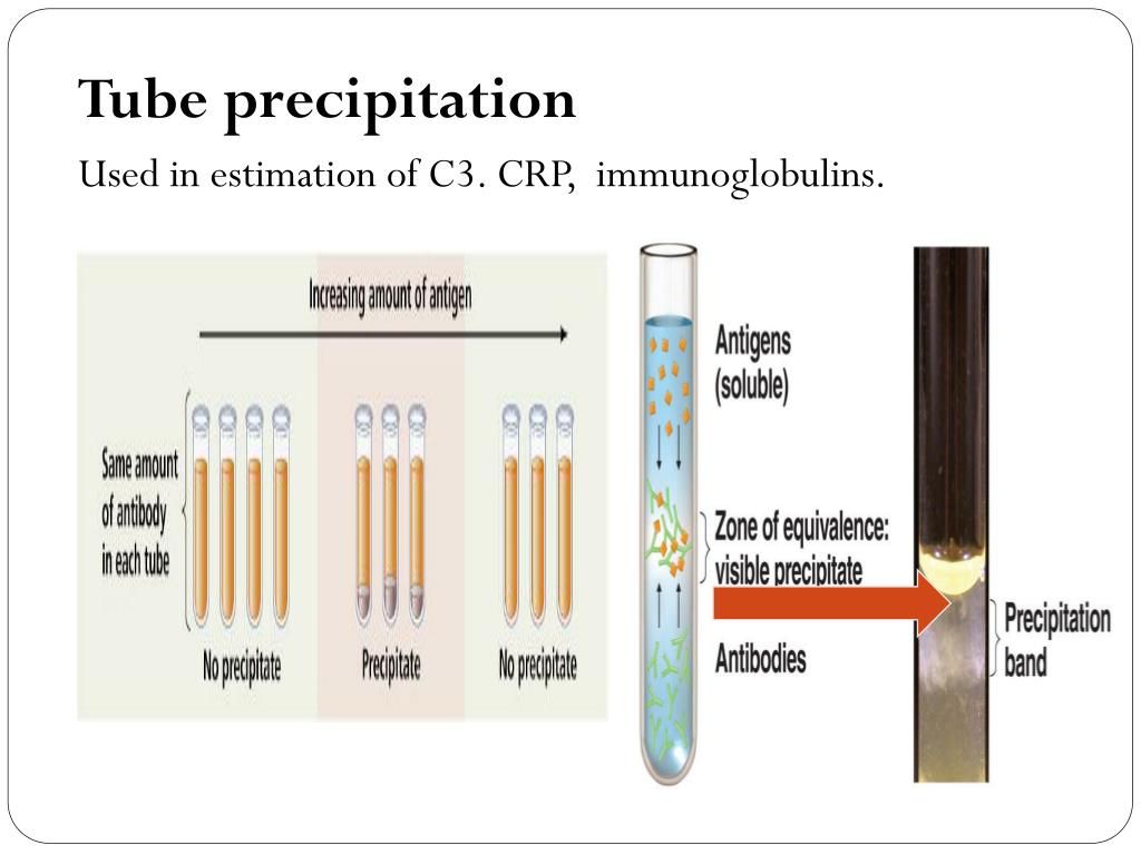 PPT Antigenantibody reaction PowerPoint Presentation, free download