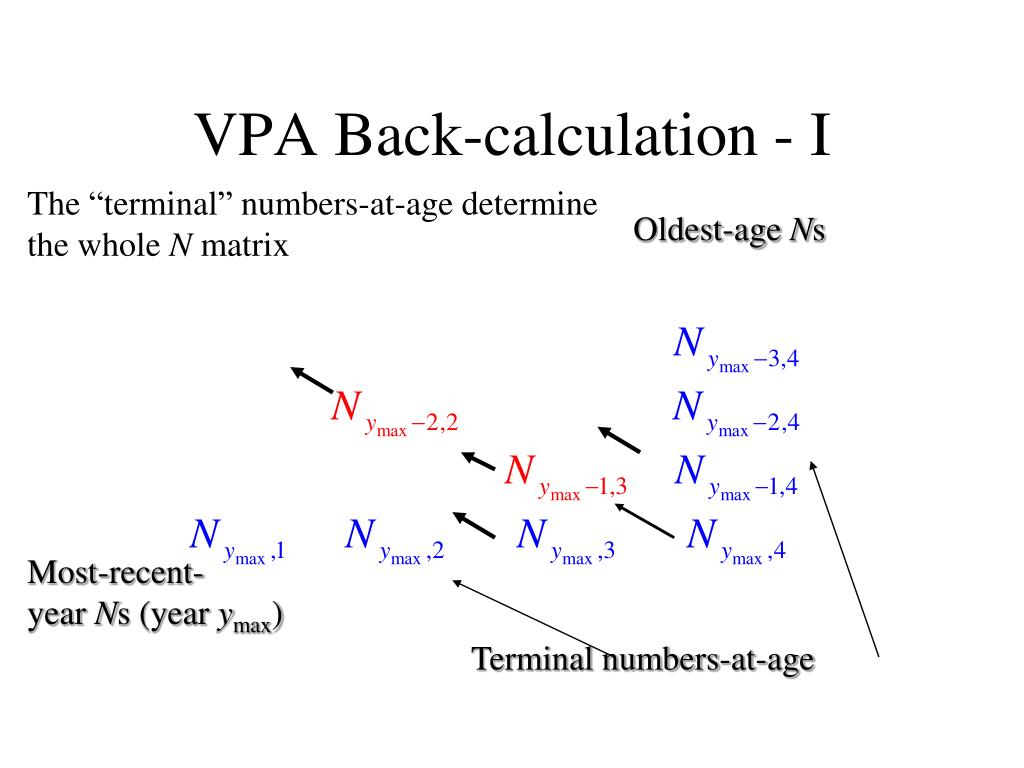 PPT Trophic Ecosystem Models PowerPoint Presentation, free download