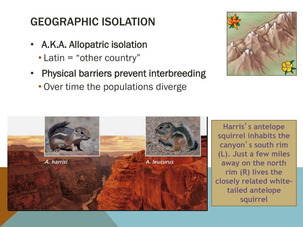 PPT drift PowerPoint Presentation, free download ID2012248