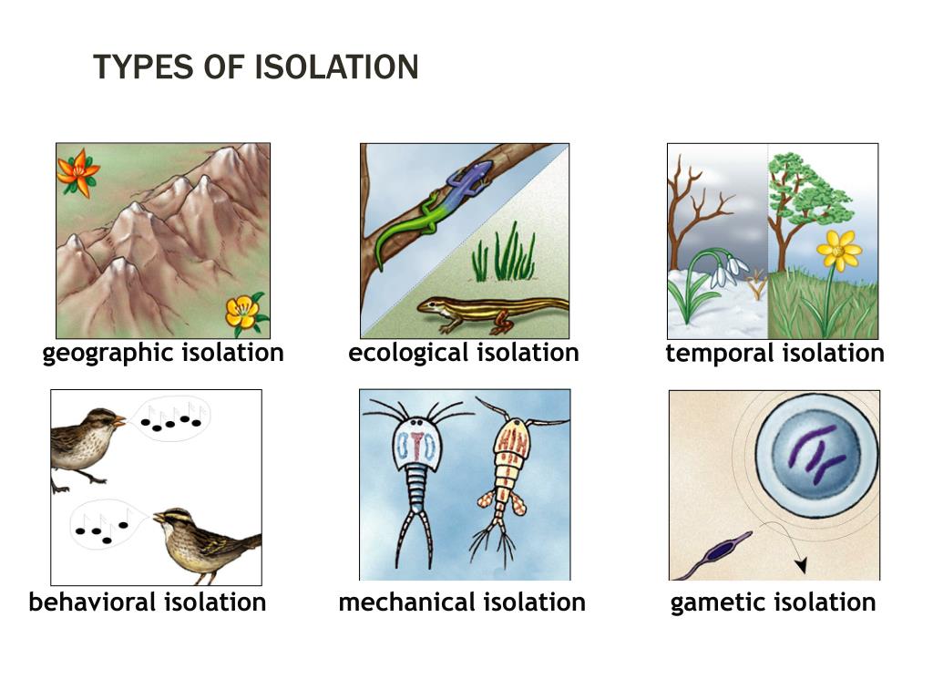PPT drift PowerPoint Presentation, free download ID2012248