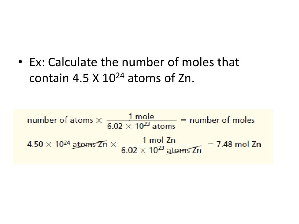 PPT The Mole PowerPoint Presentation, free download ID2012425