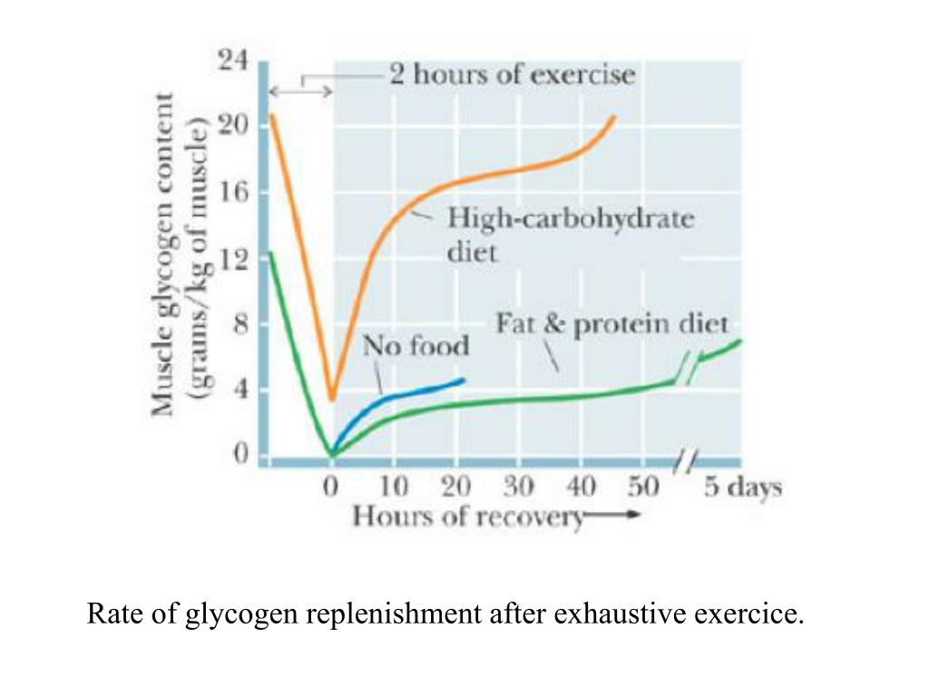 PPT Glycogen Metabolism PowerPoint Presentation, free download ID
