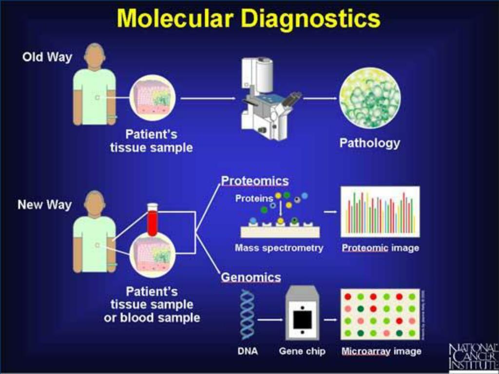PPT Molecular Diagnostics Why ? PowerPoint Presentation, free