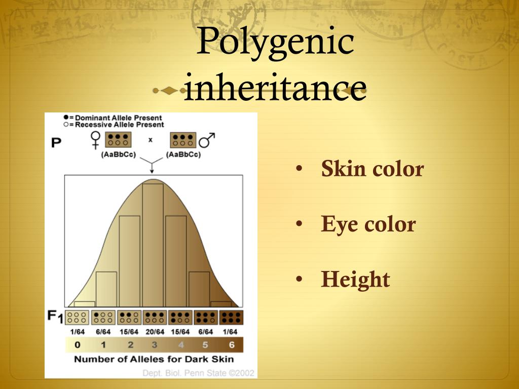 PPT PowerPoint Presentation, free download ID2014119