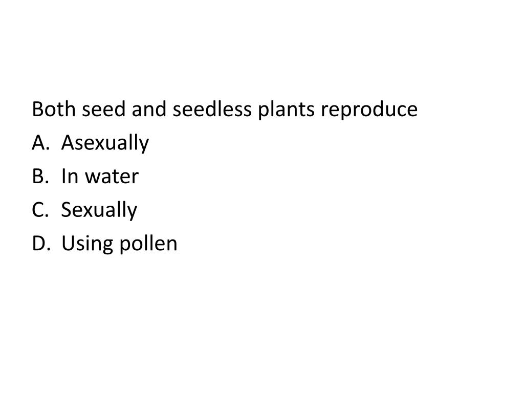 PPT Review Packet on Plant Processes PowerPoint Presentation, free