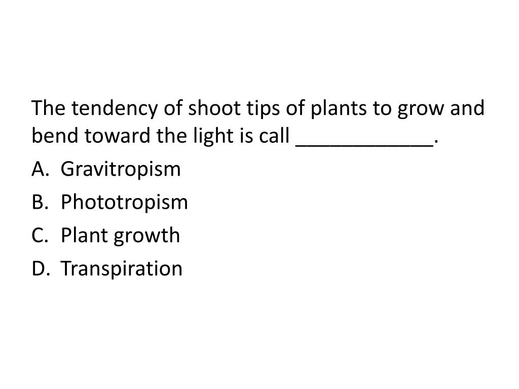 PPT Review Packet on Plant Processes PowerPoint Presentation, free