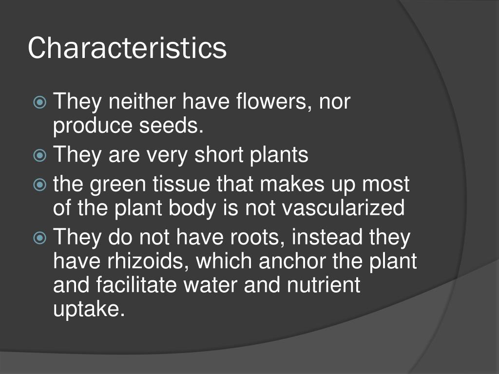 PPT Bryophytes PowerPoint Presentation, free download ID2014475