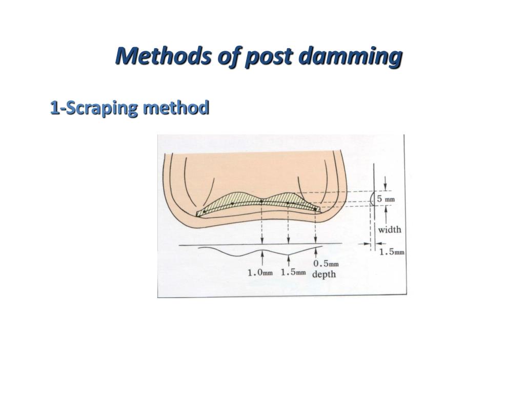 PPT Dr Nora sheta PowerPoint Presentation, free download ID2014717