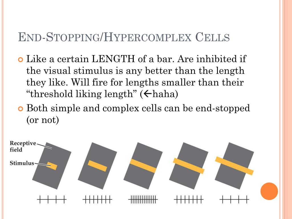 PPT Unit 2, Week 1 PowerPoint Presentation, free download ID2015376