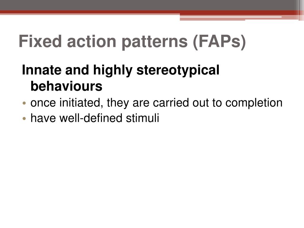 PPT Animal Behaviour PowerPoint Presentation, free download ID2016278