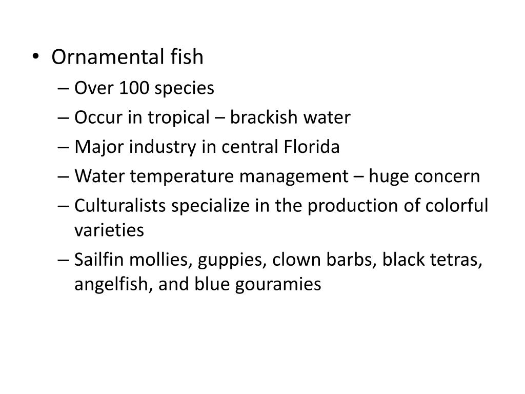 PPT Aquatic Plants and Animals PowerPoint Presentation, free download
