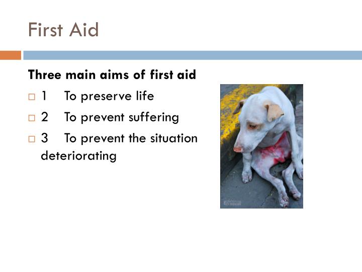 PPT Handling , Transportation, First Aid, and CPR of Injured