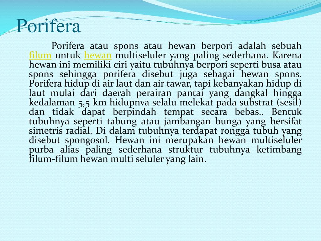 PPT Invertebrata PowerPoint Presentation, free download