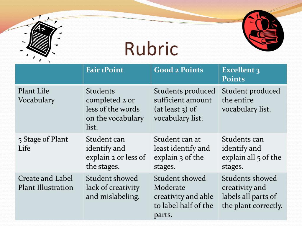 PPT Botany & The Life Cycle of a Plant PowerPoint Presentation ID