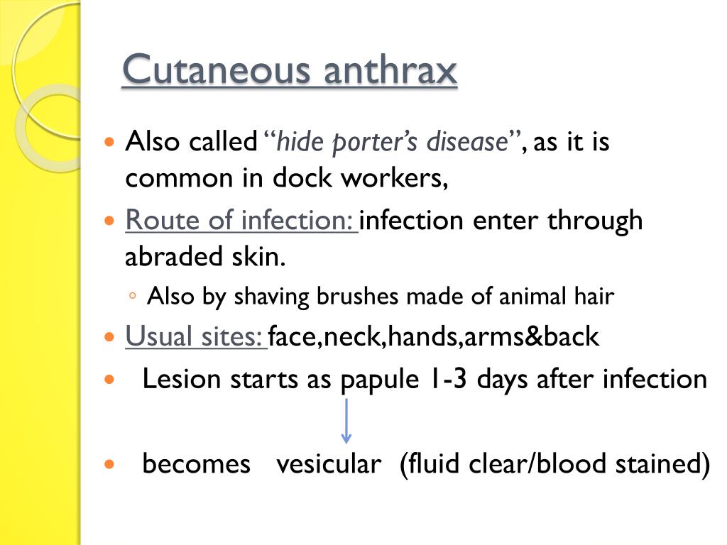 PPT CLINICAL FEATURES EPIDEMIOLOGY LAB DIAGNOSIS PROPHYLAXIS
